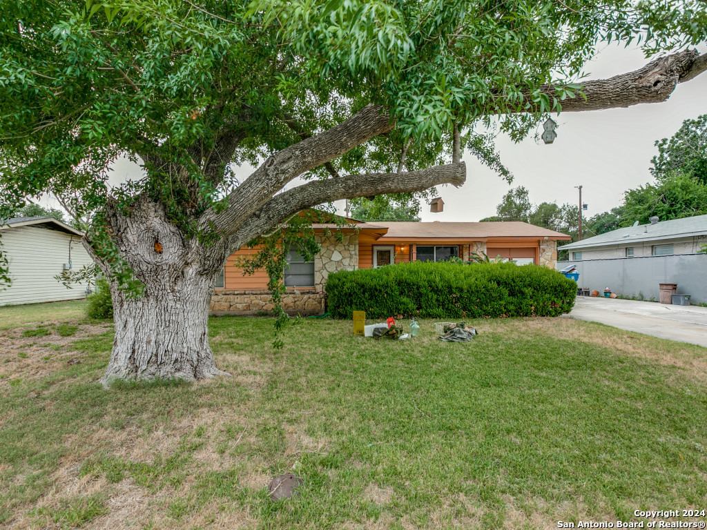 3619 DR