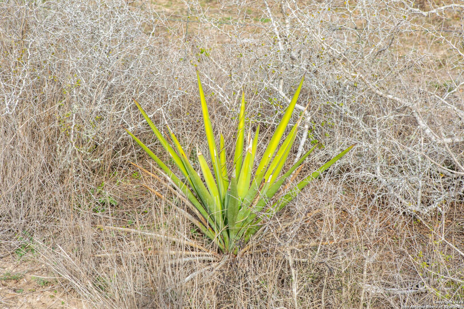 8684 Mineral Cemetery Rd