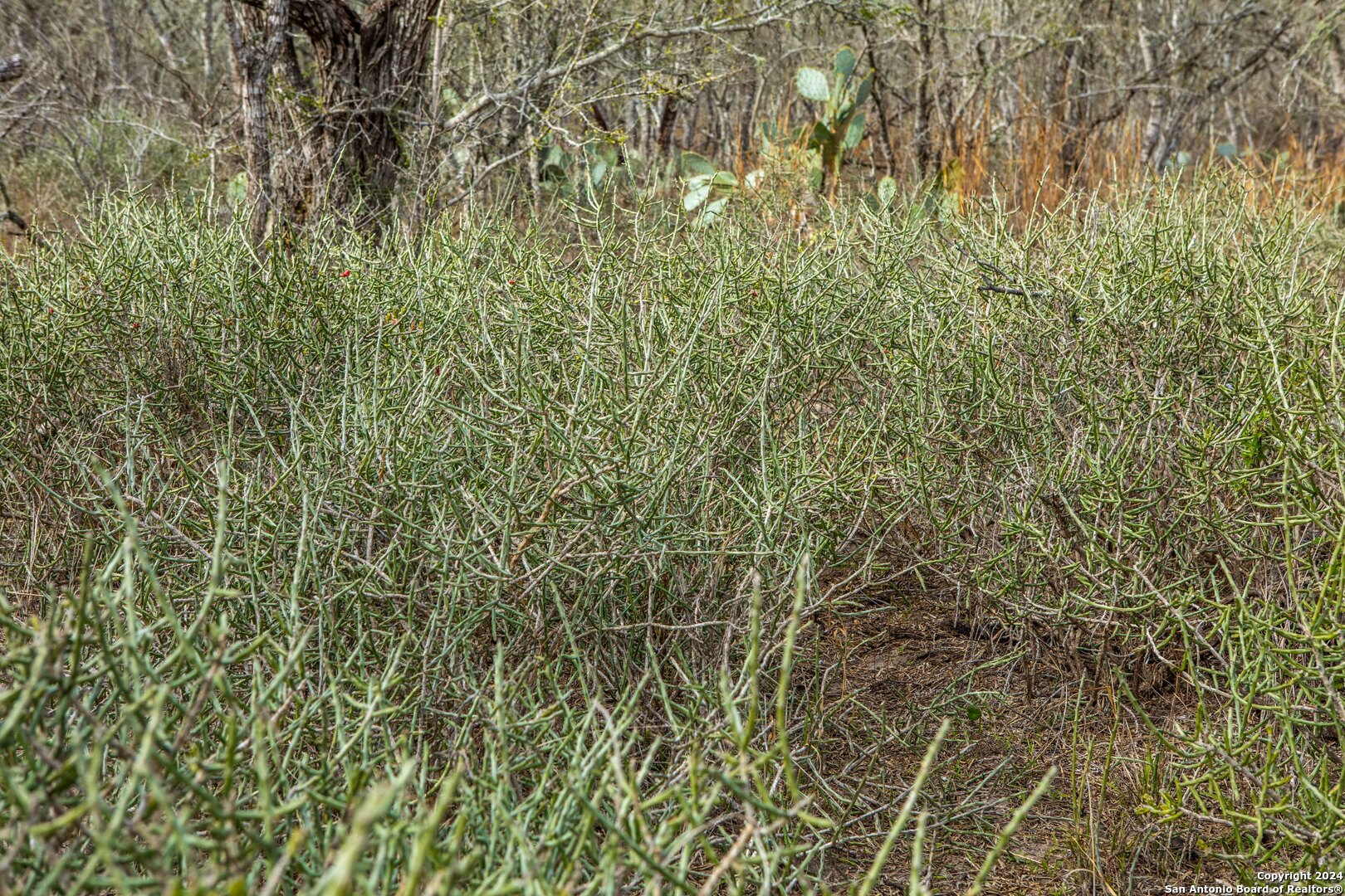 8684 Mineral Cemetery Rd