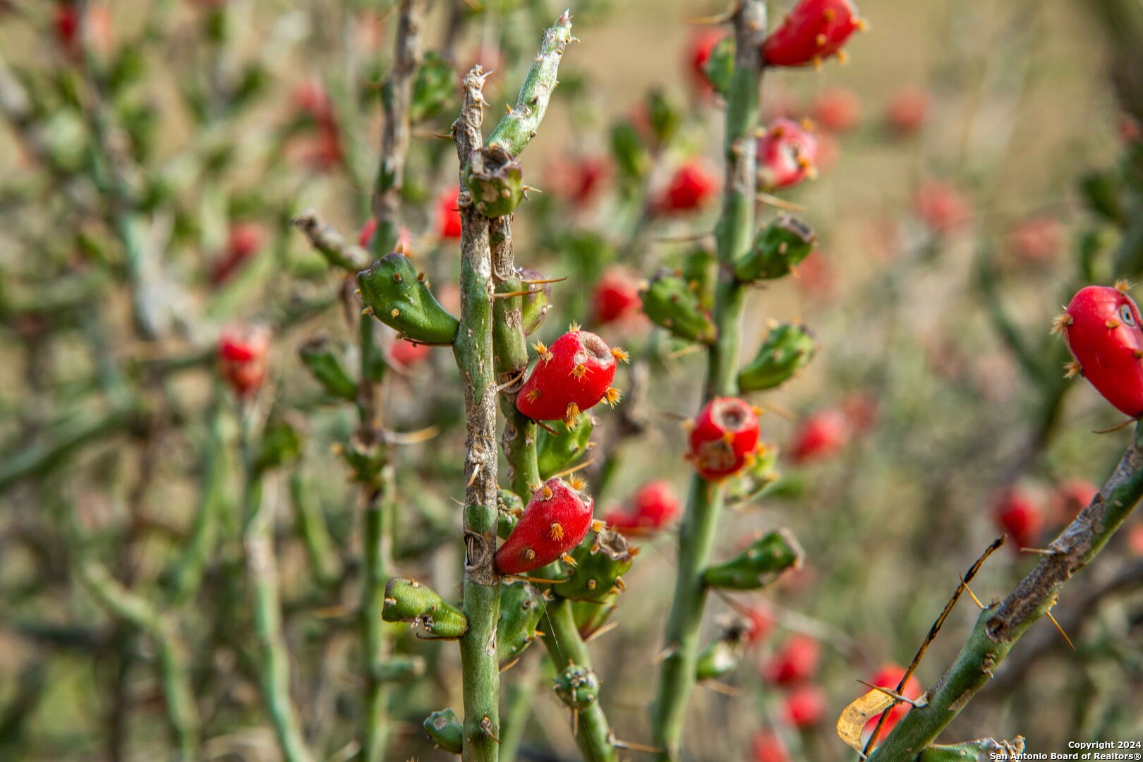 8684 Mineral Cemetery Rd