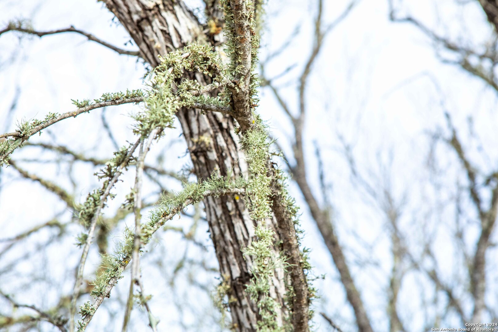 8684 Mineral Cemetery Rd