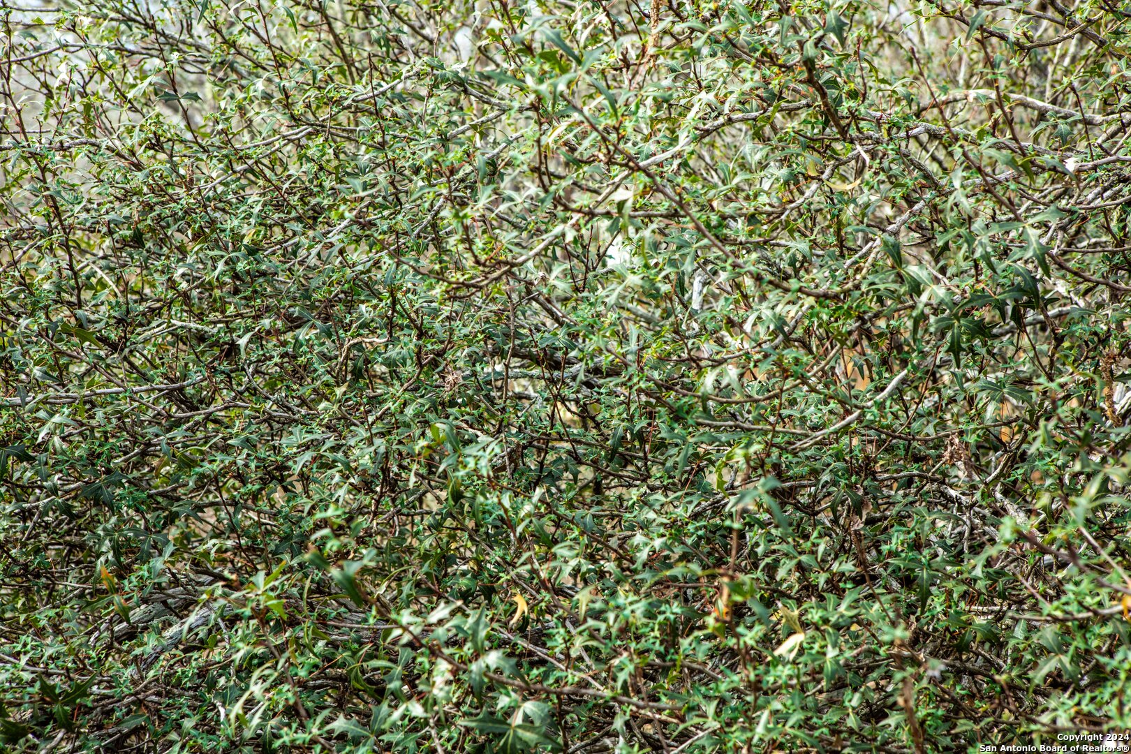 8684 Mineral Cemetery Rd