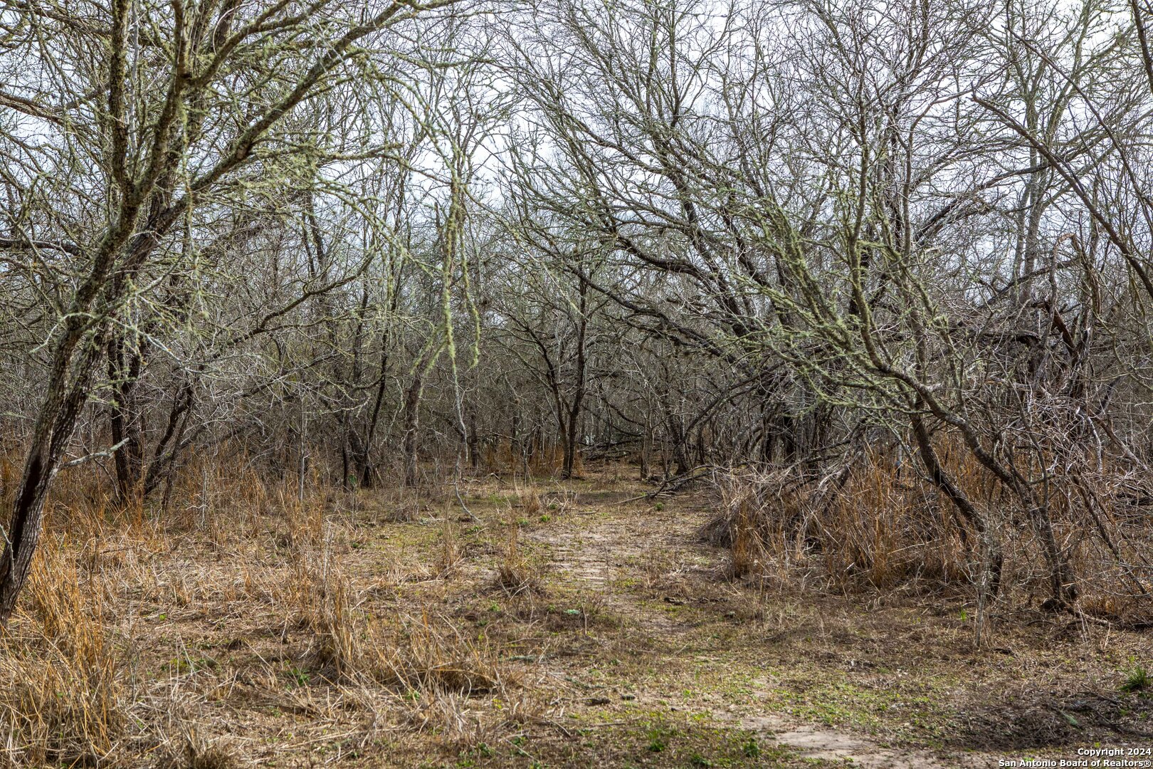 8684 Mineral Cemetery Rd