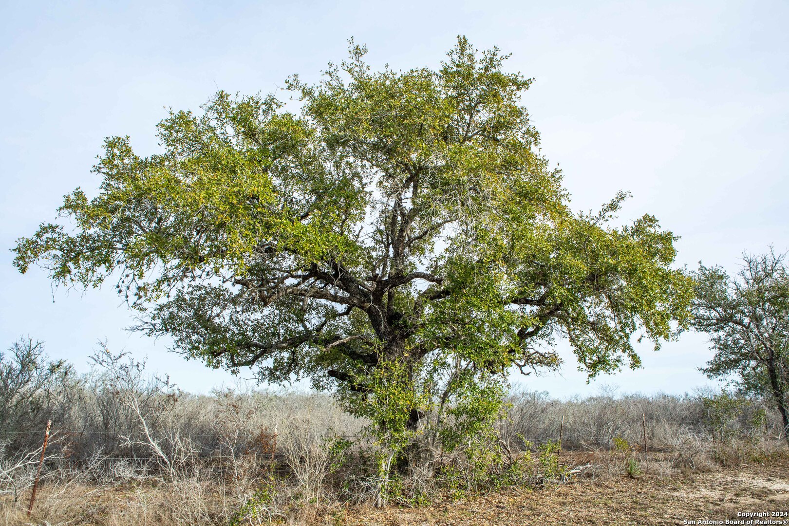 8684 Mineral Cemetery Rd