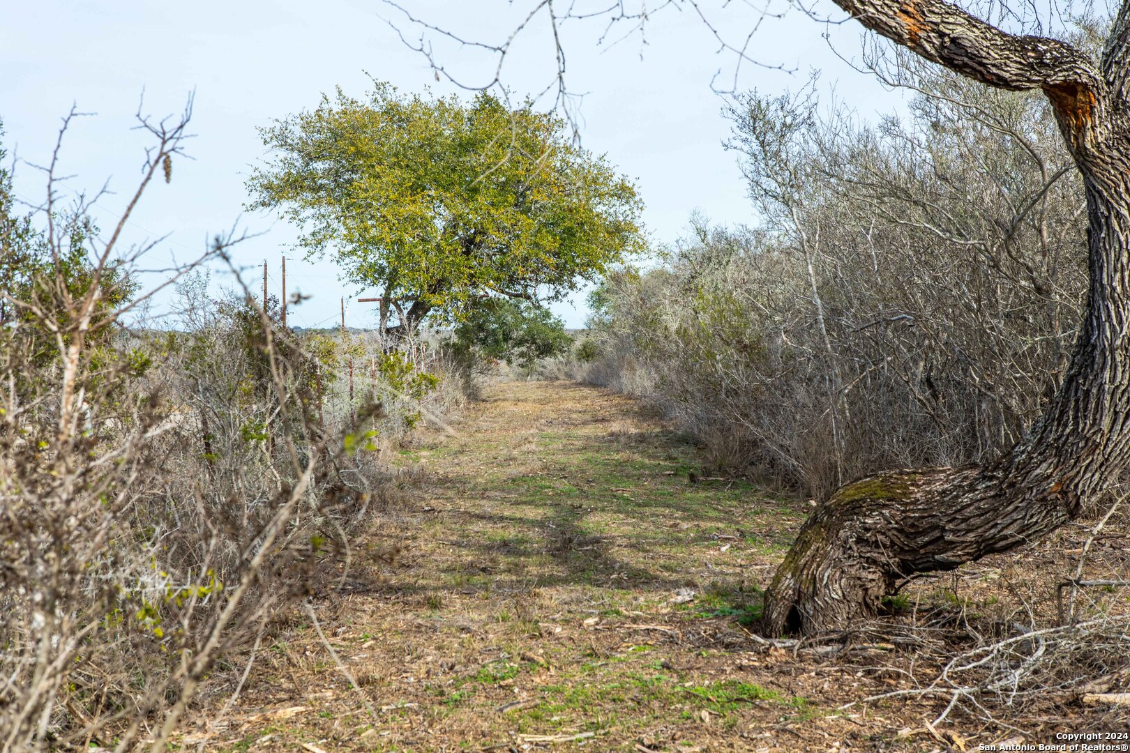 8684 Mineral Cemetery Rd