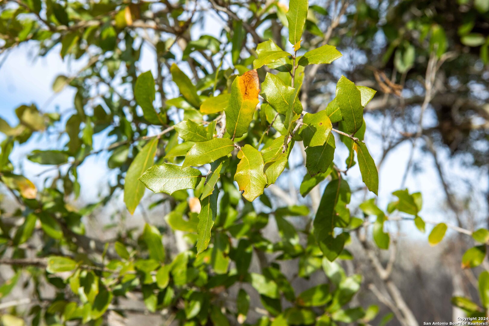 8684 Mineral Cemetery Rd