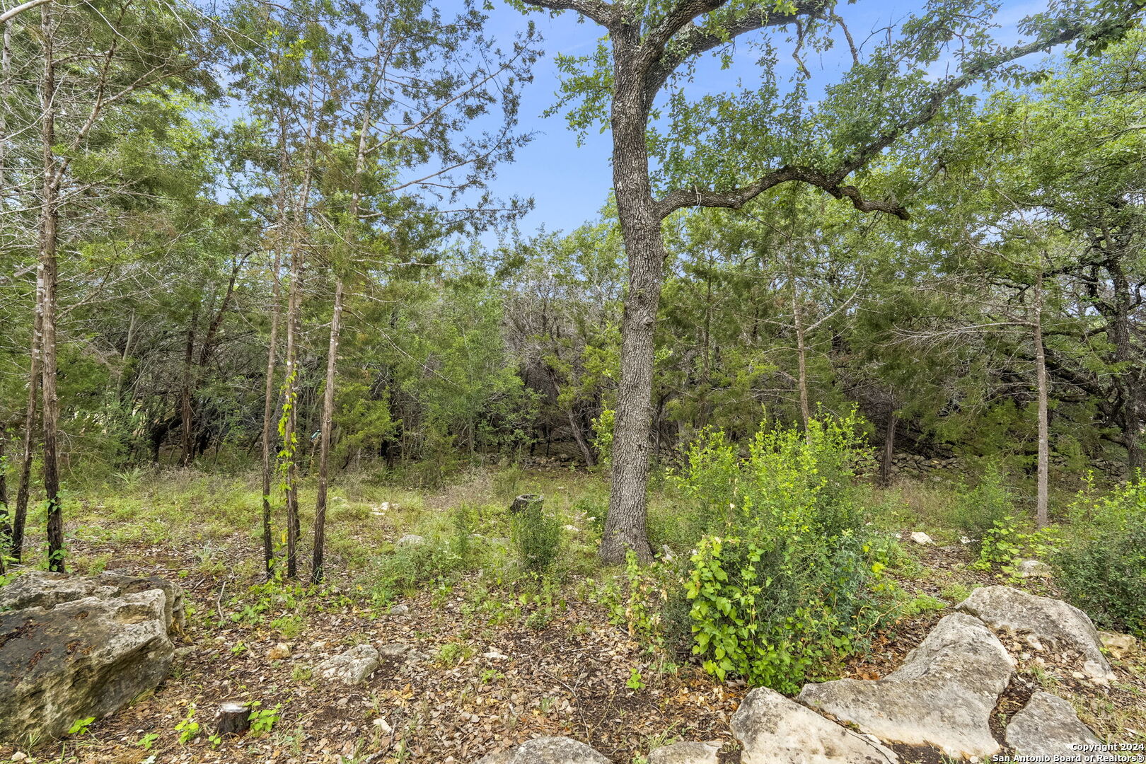 265 VERDE TRACE