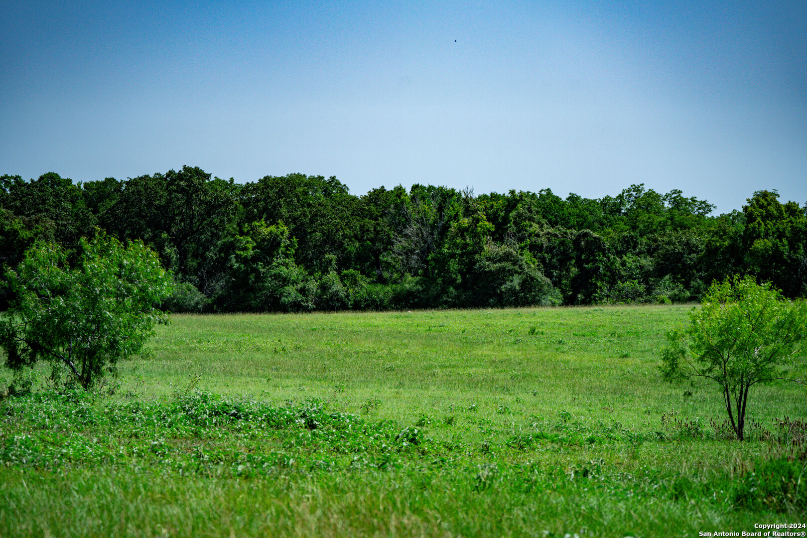 TRACT 3 10+/- Acres County Road 426