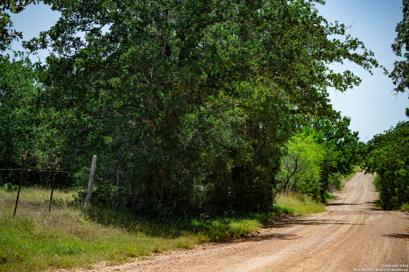 TRACT 3 10+/- Acres County Road 426