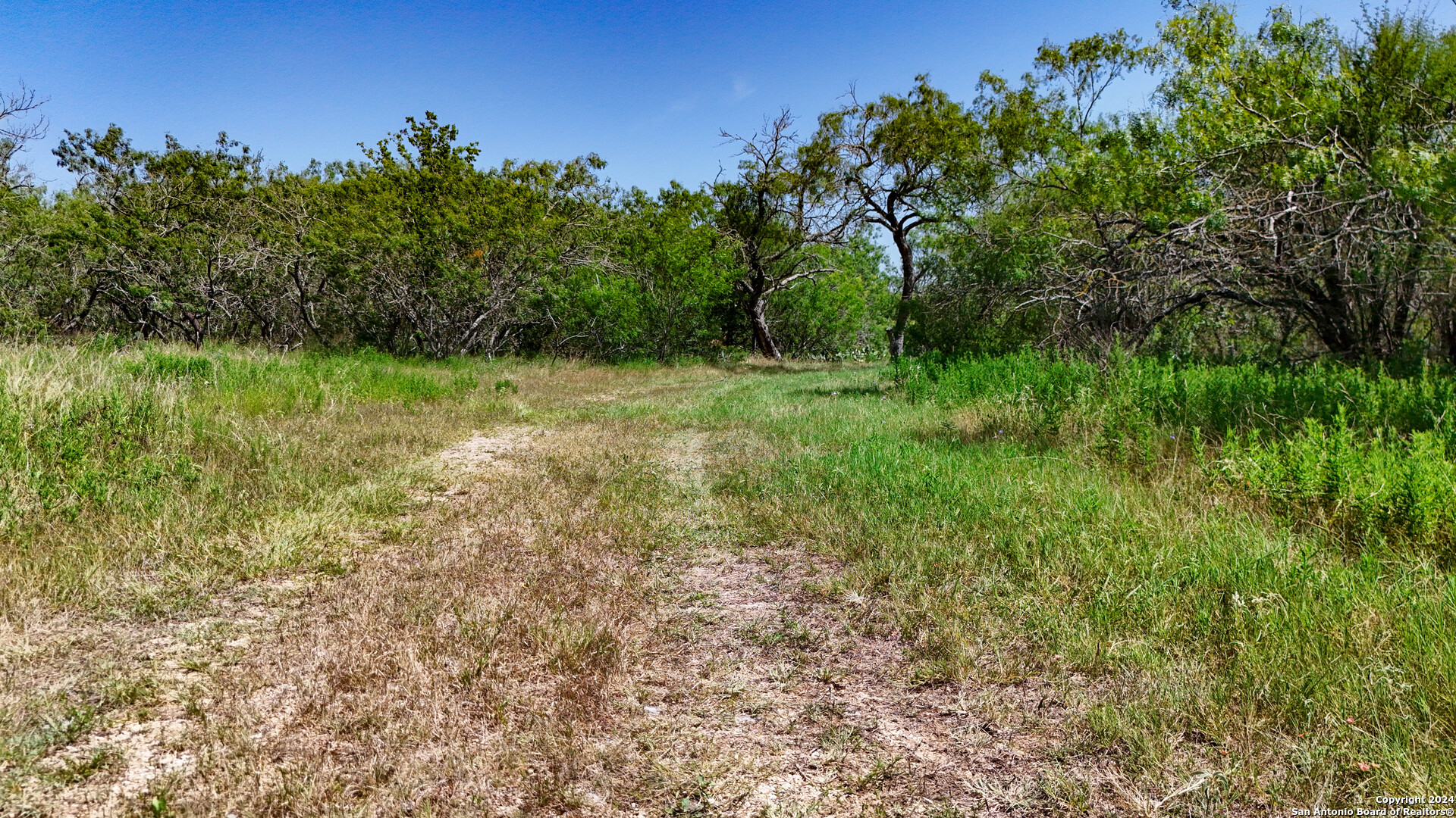 TRACT 3 10+/- Acres County Road 426