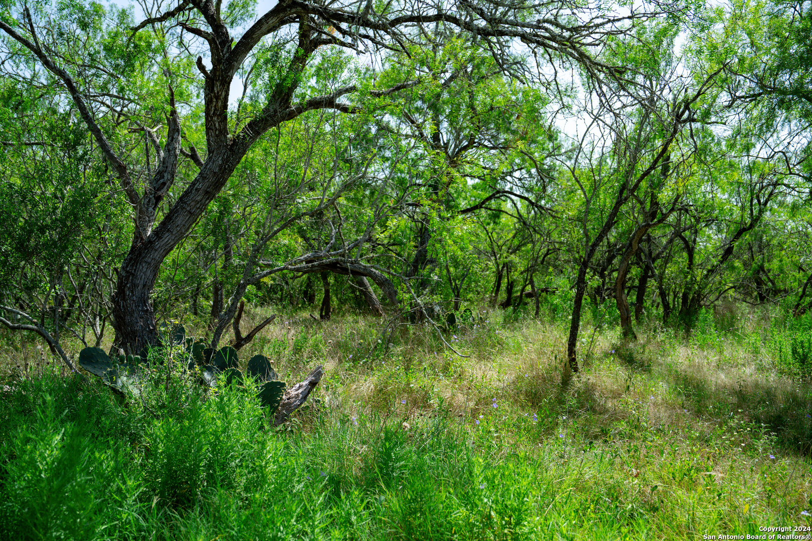 TRACT 3 10+/- Acres County Road 426