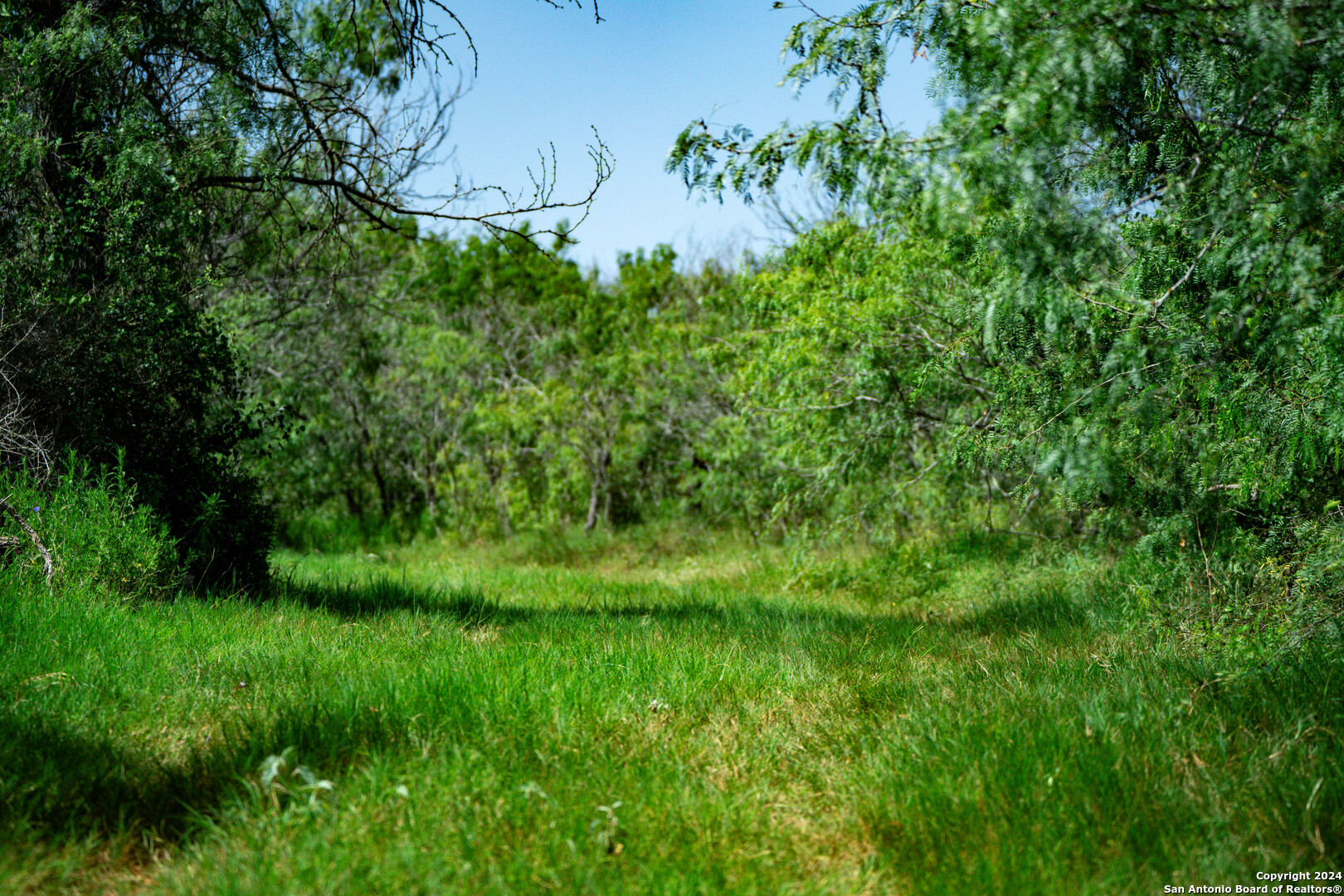 TRACT 3 10+/- Acres County Road 426