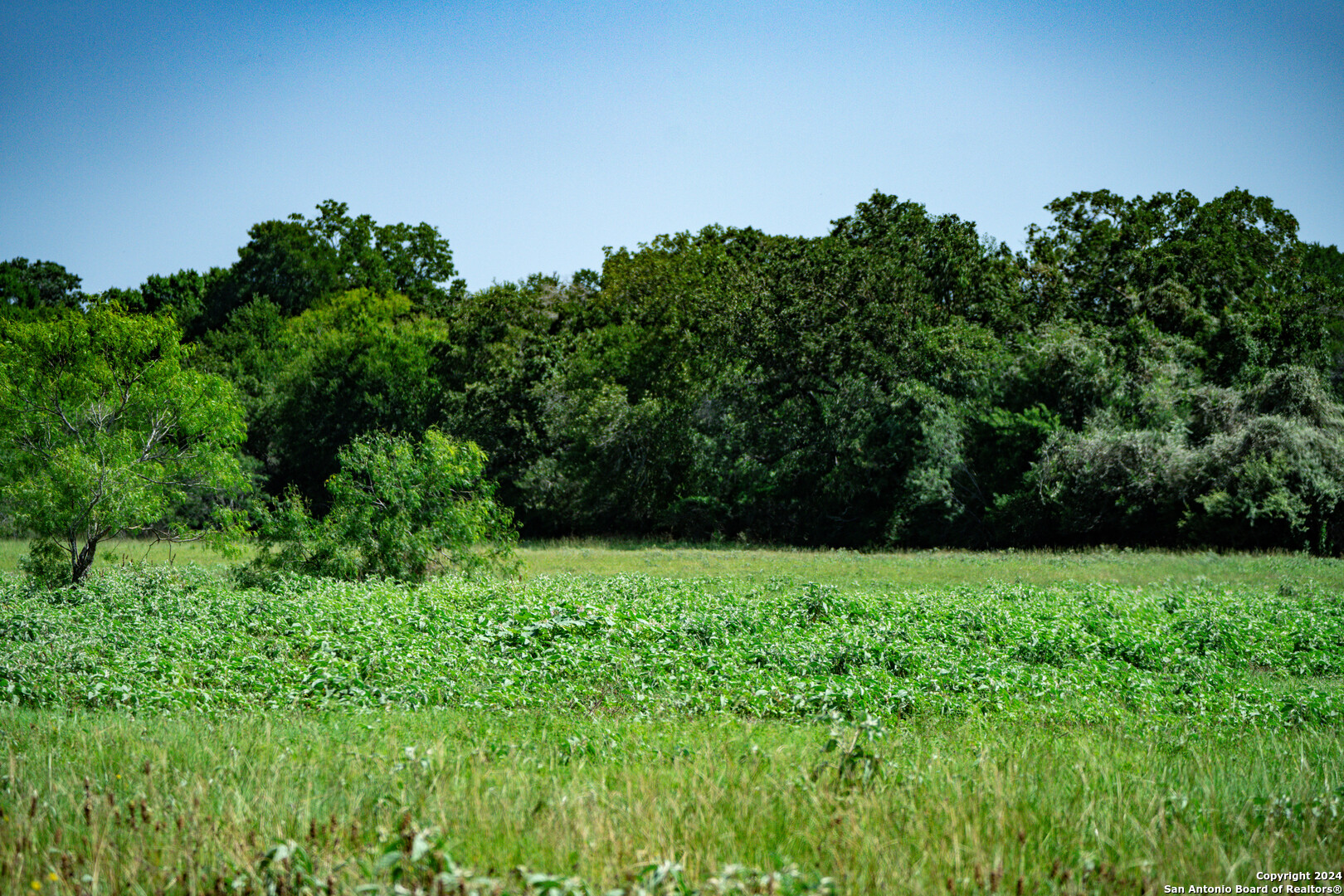 TRACT 3 10+/- Acres County Road 426