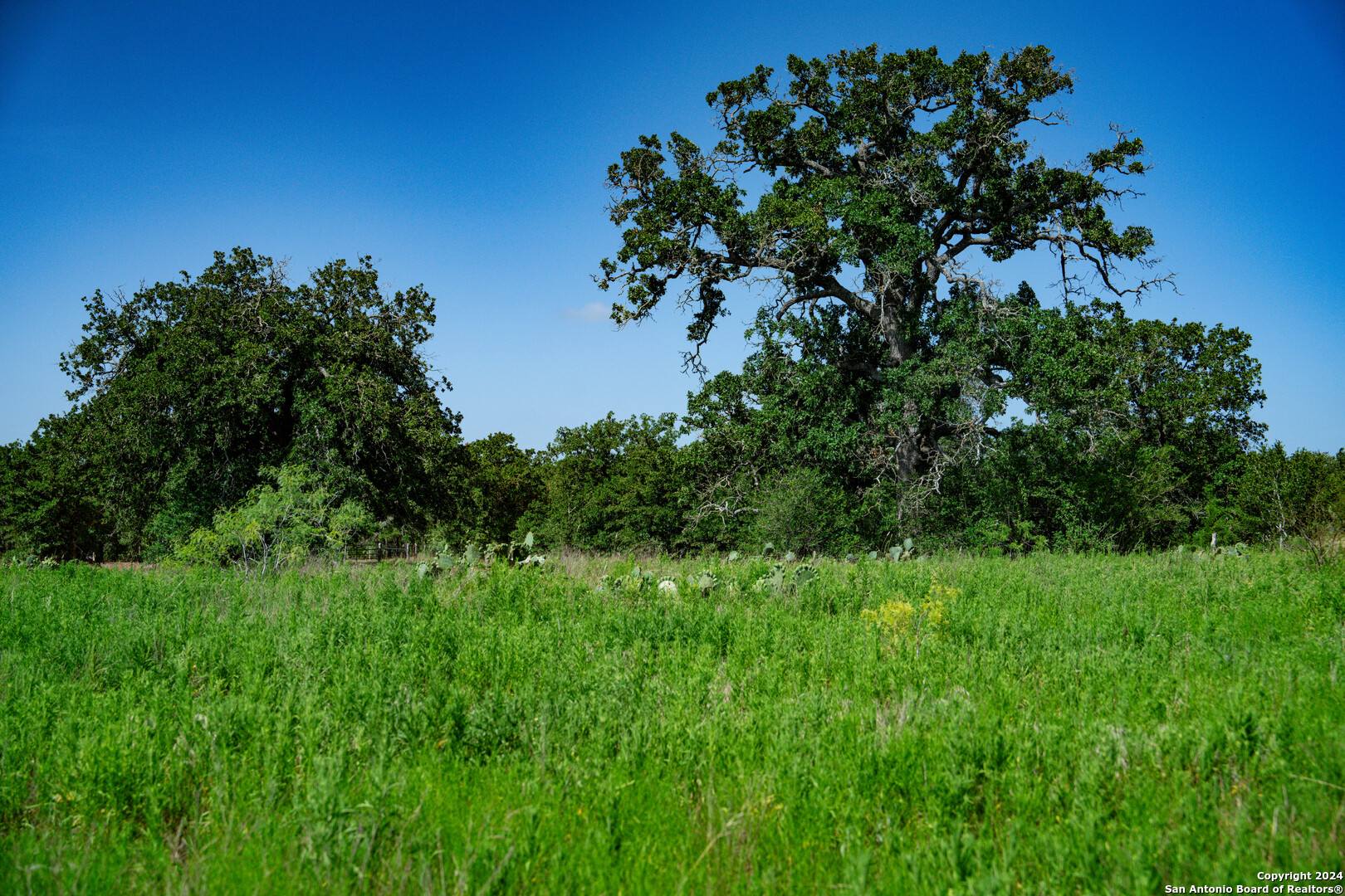 TRACT 3 10+/- Acres County Road 426