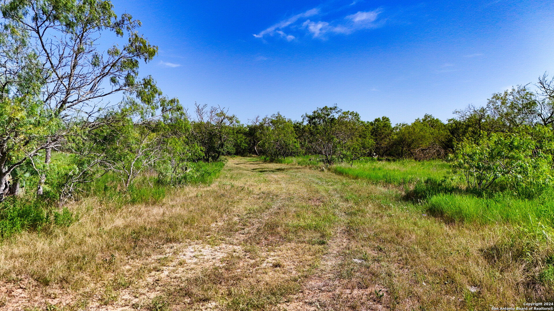 TRACT 3 10+/- Acres County Road 426