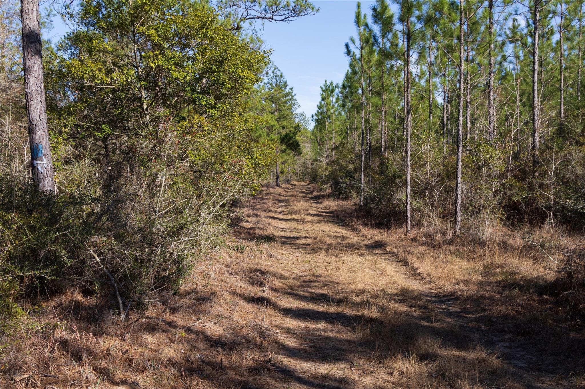 1865 N Hwy 326