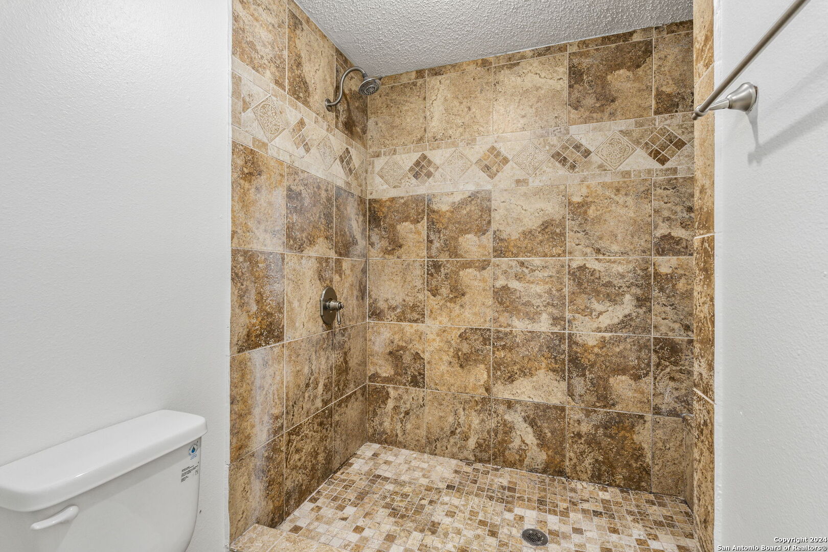 10207 ARBOR BLUFF