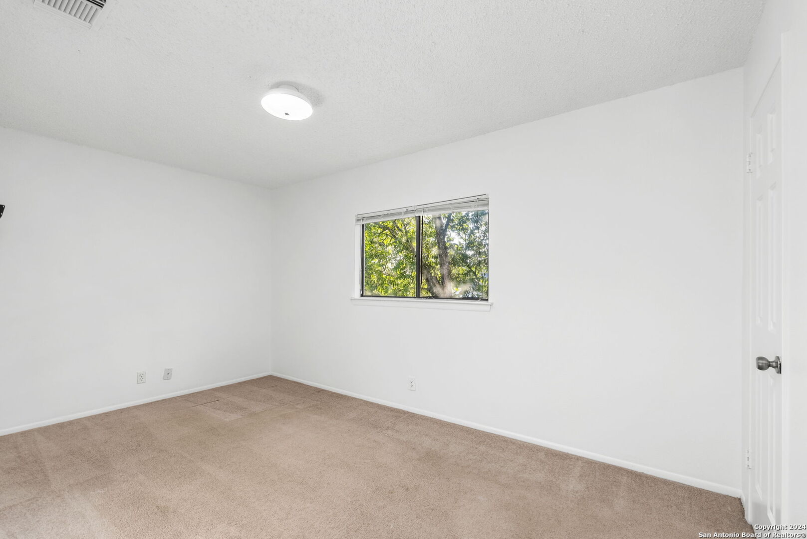 10207 ARBOR BLUFF
