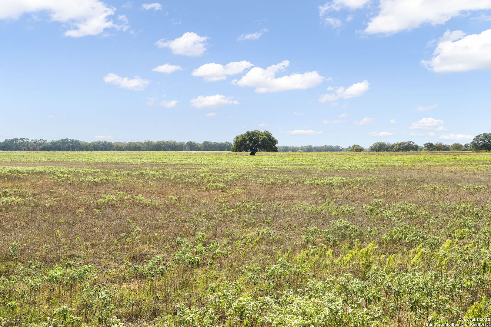 +/- 11 ACRES Tract 2 State Highway 123