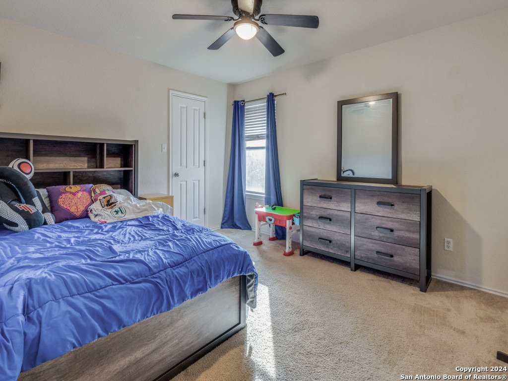 317 LASSO LN