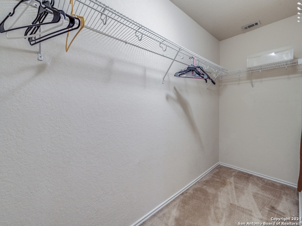 317 LASSO LN