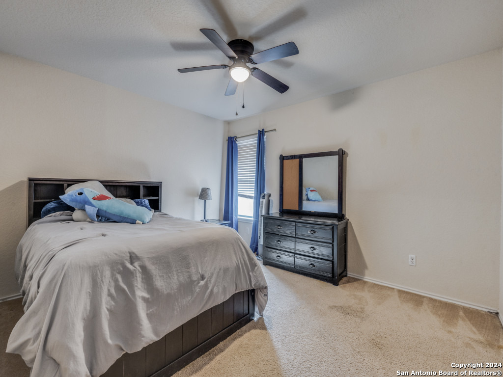 317 LASSO LN