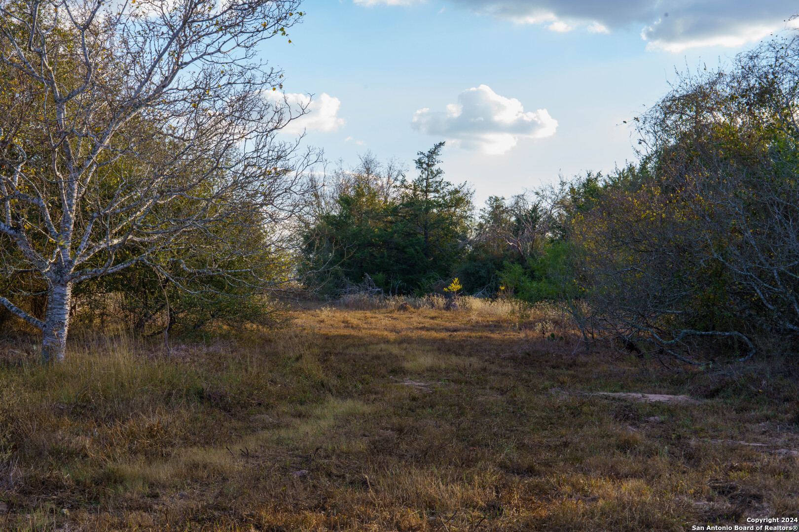 000 County Road 386