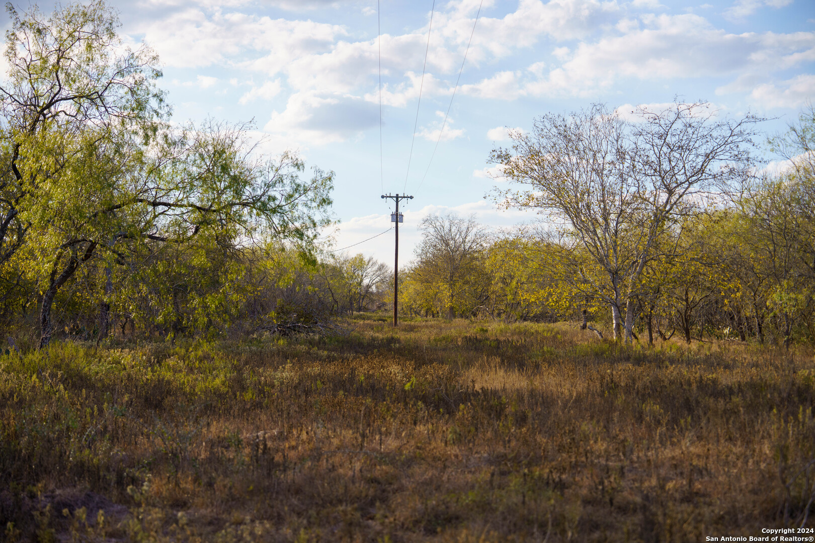 000 County Road 386