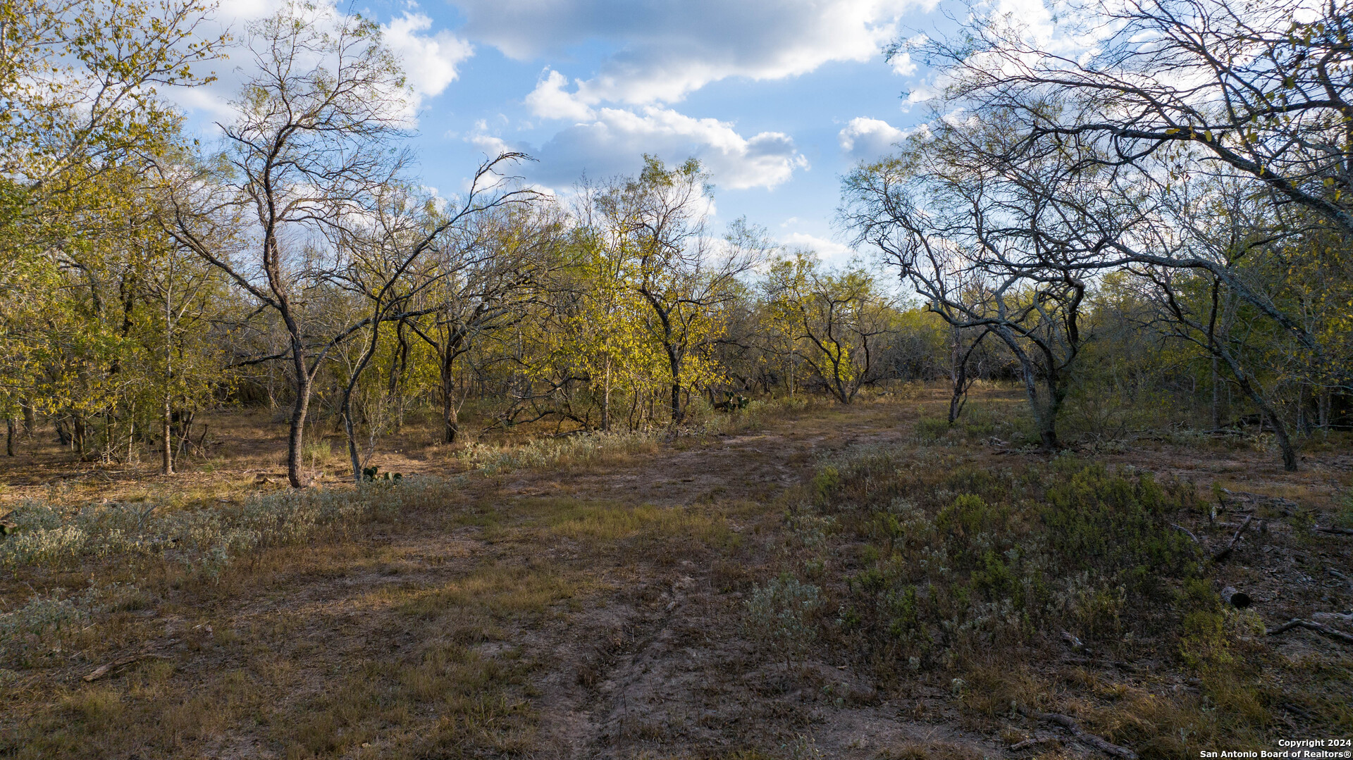 000 County Road 386