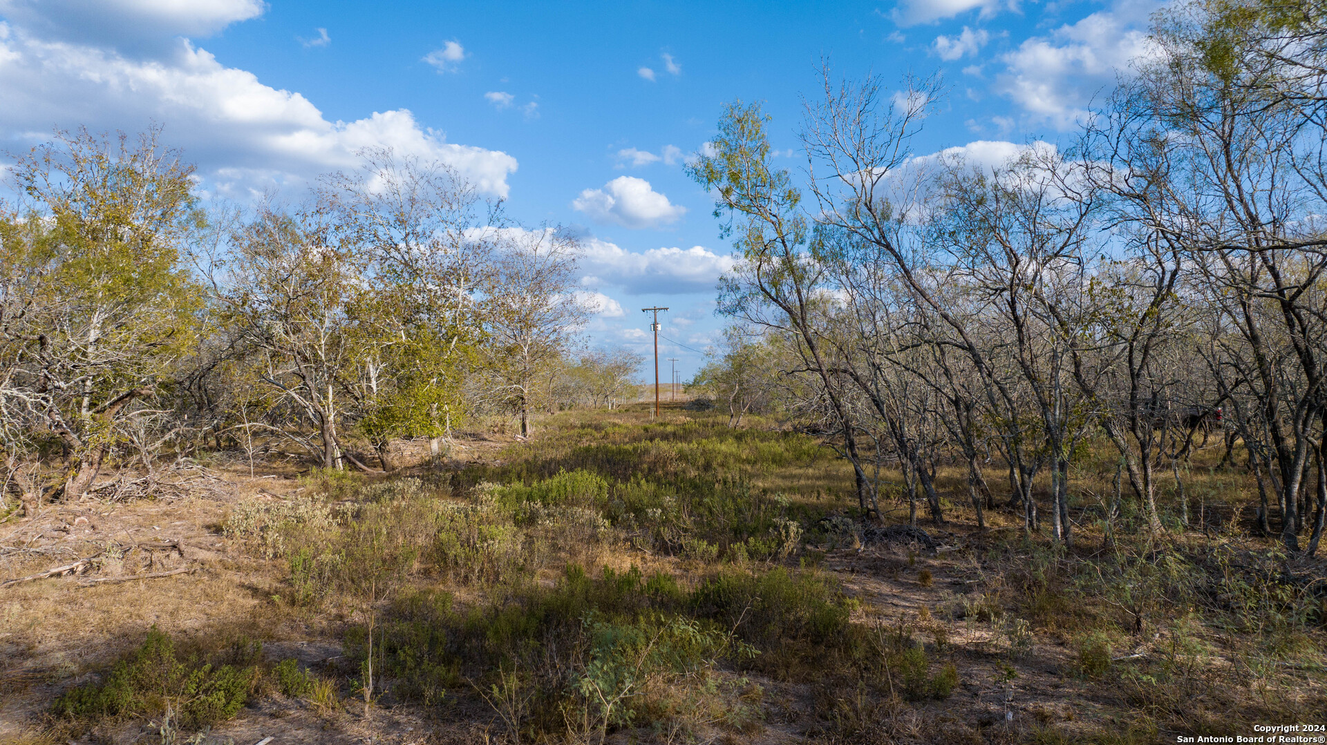 000 County Road 386