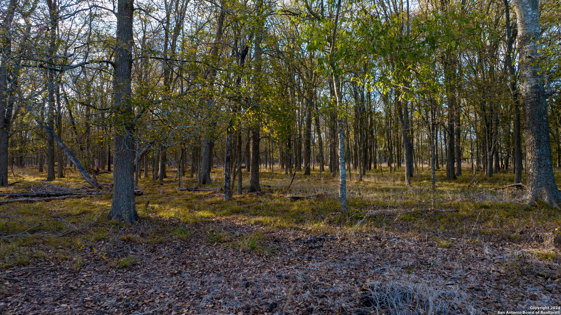 000 County Road 386