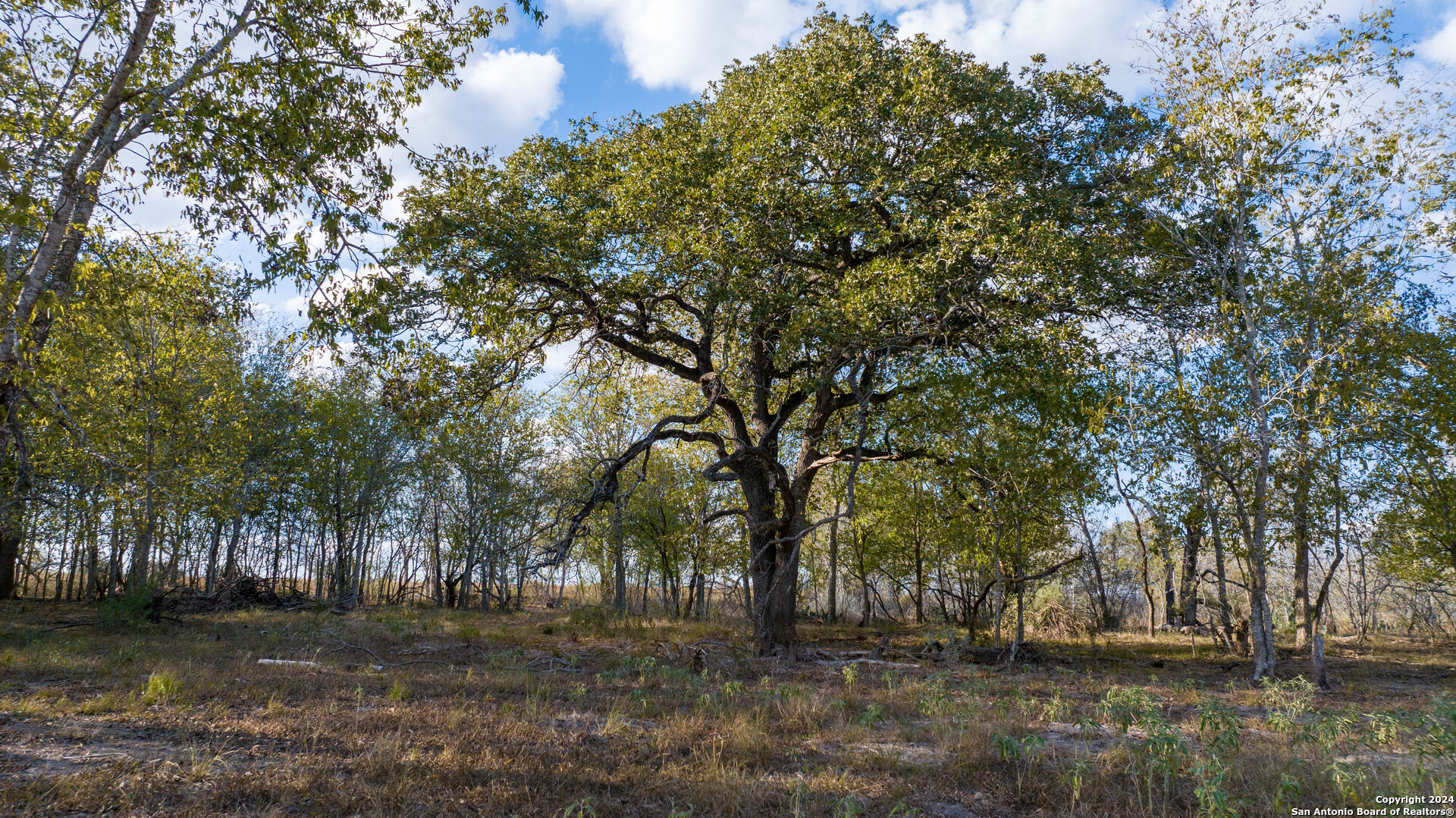 000 County Road 386