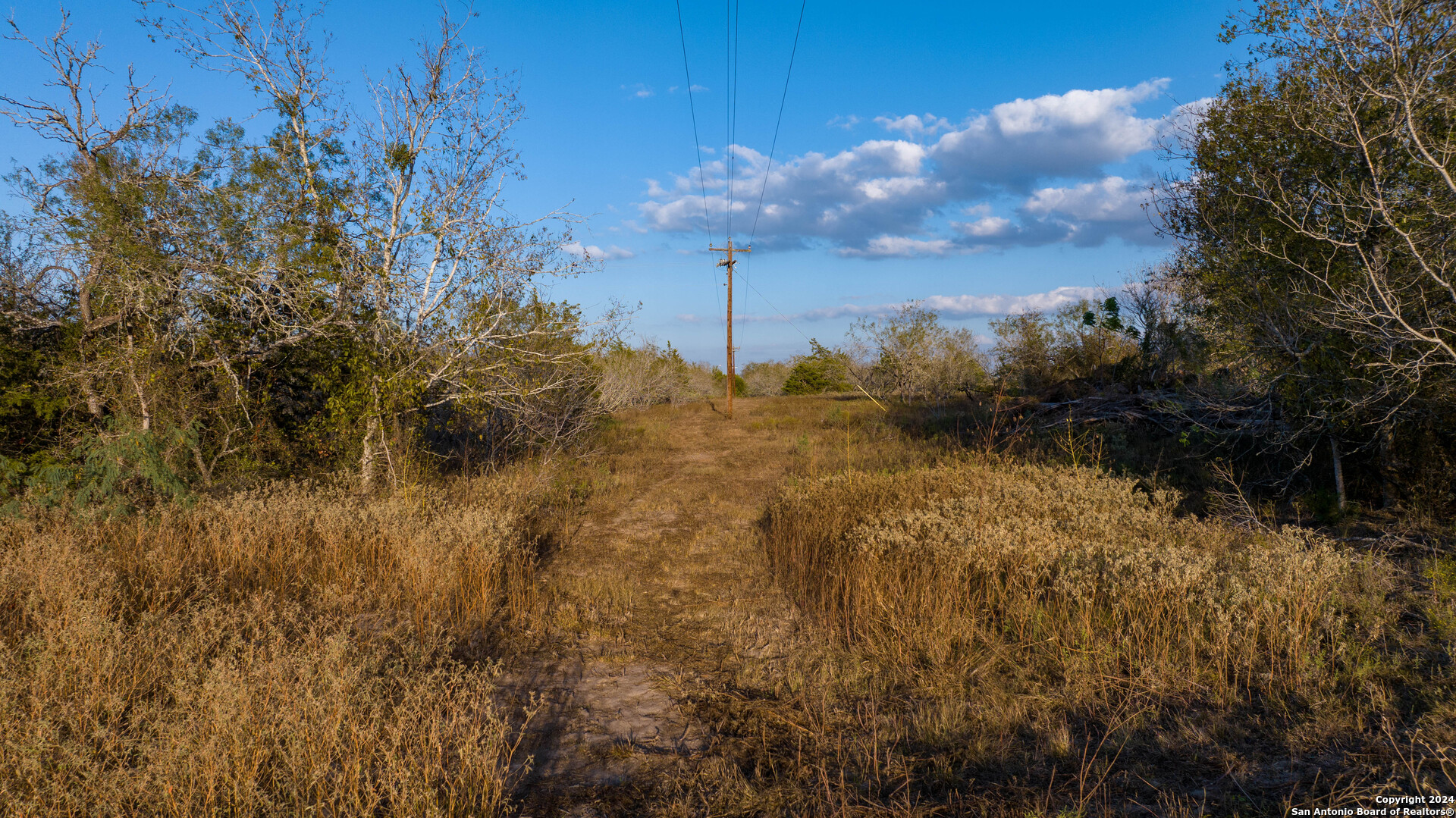 000 County Road 386
