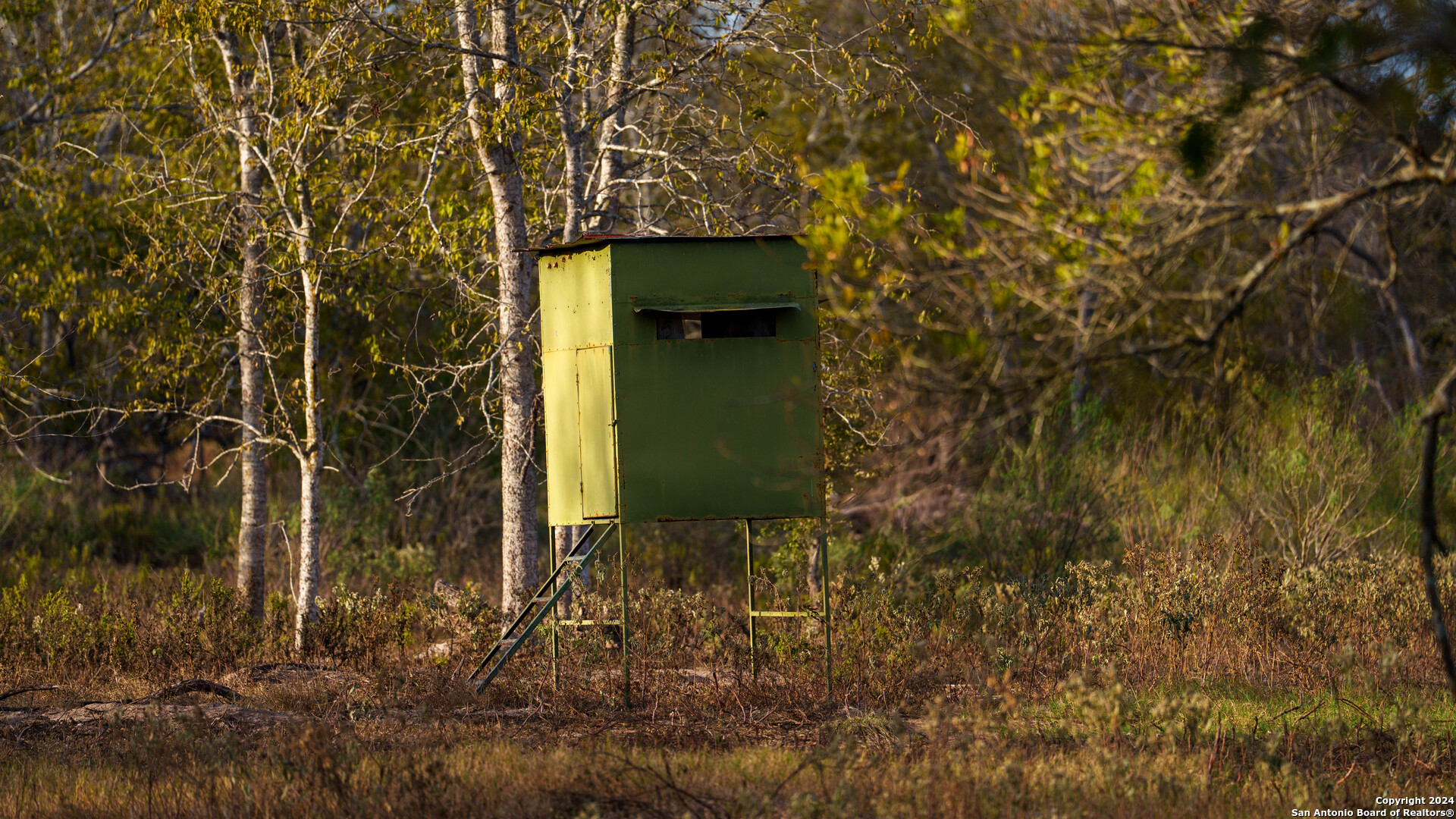 000 County Road 386