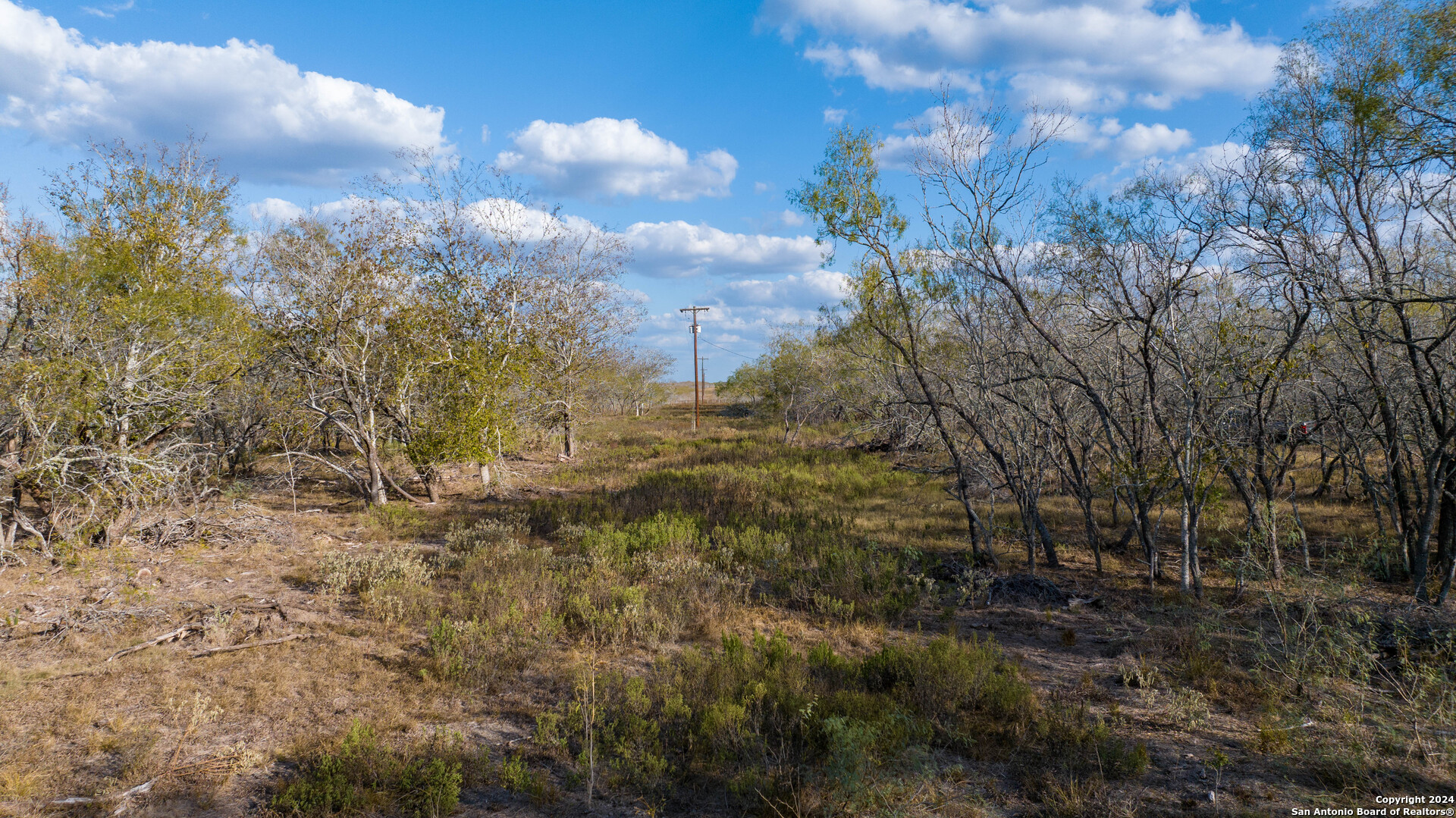 000 County Road 386