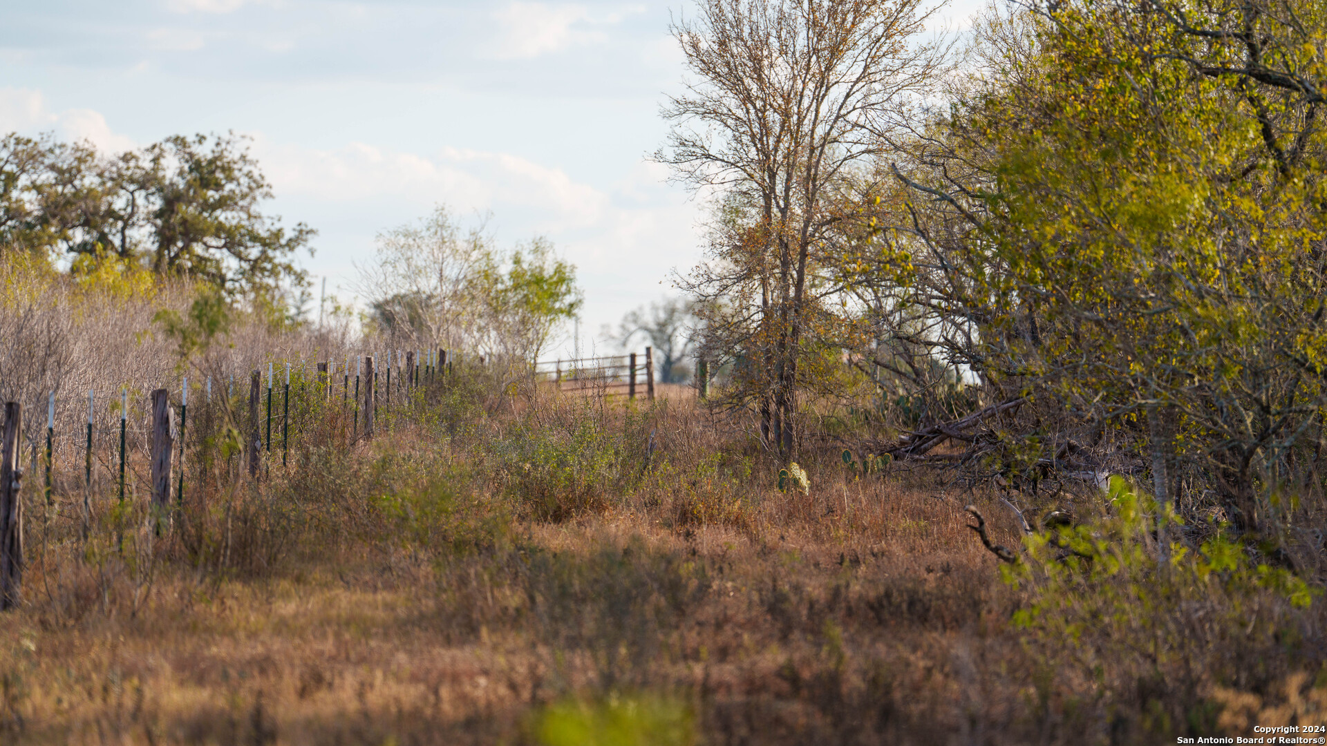 000 County Road 386