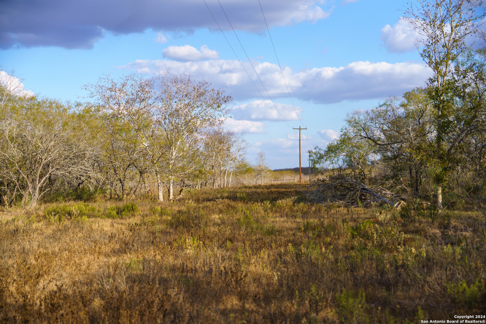 000 County Road 386