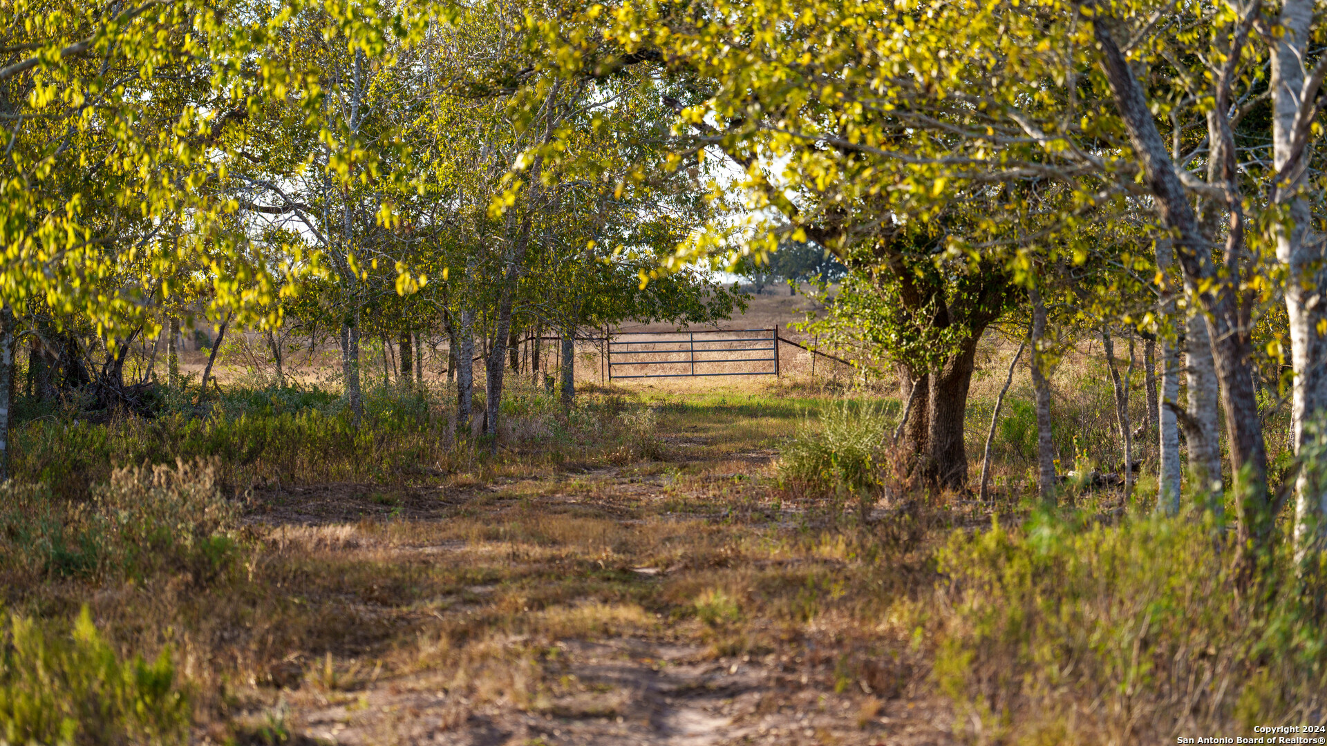 000 County Road 386