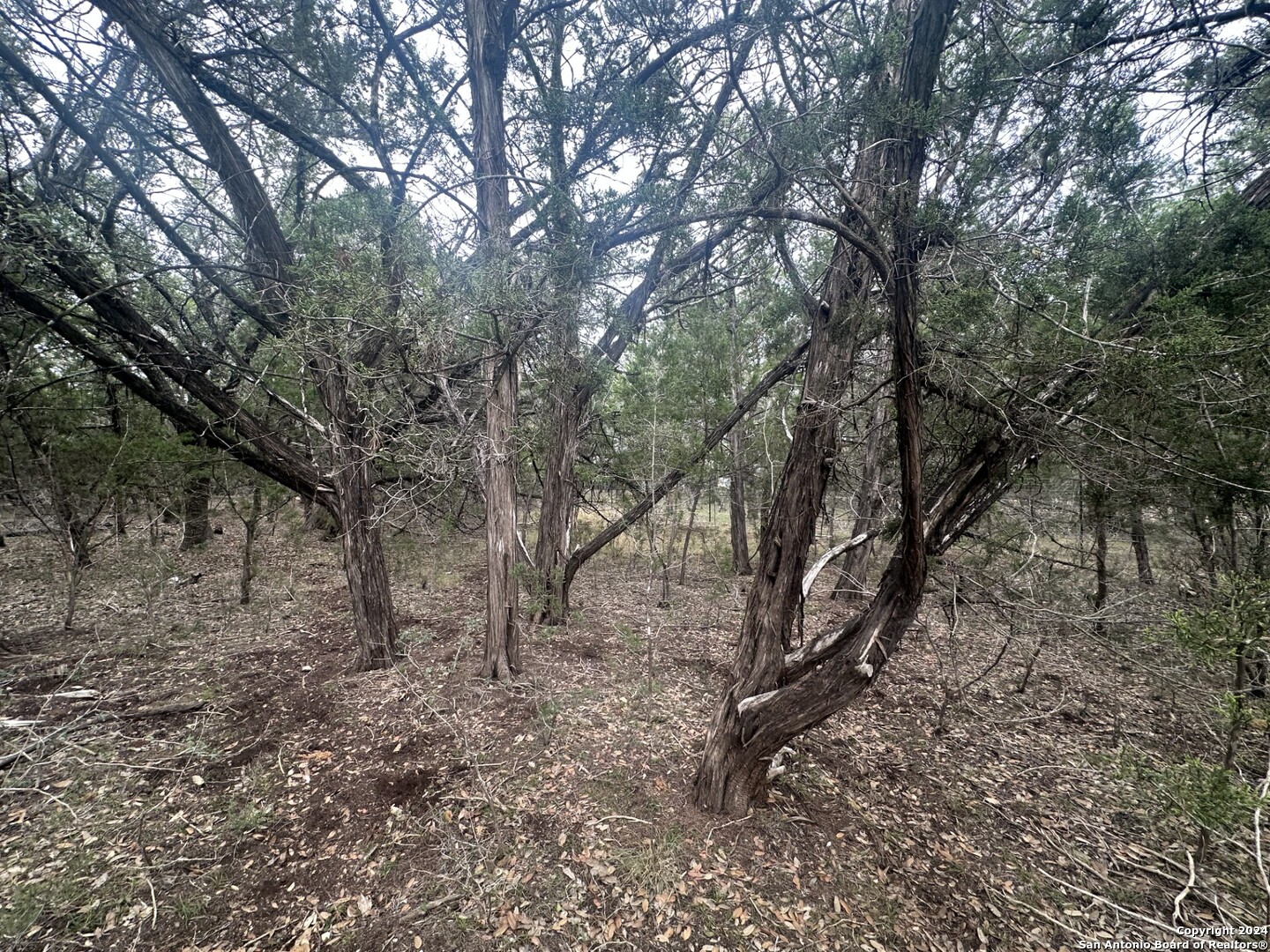 287 Canyon