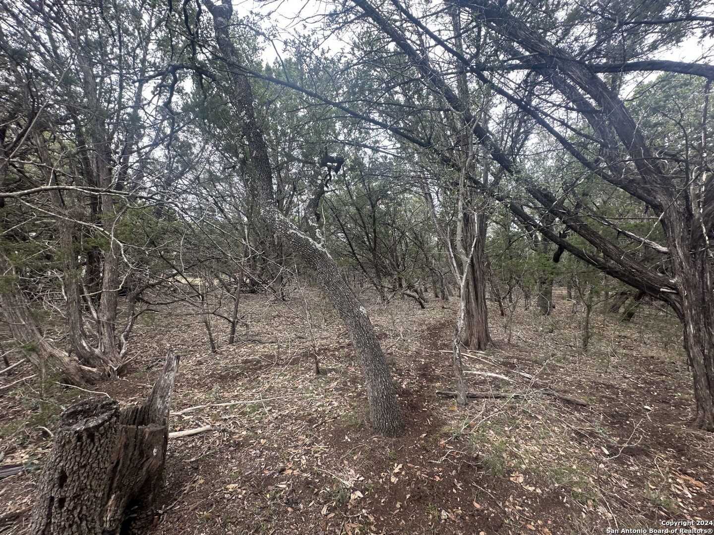 287 Canyon