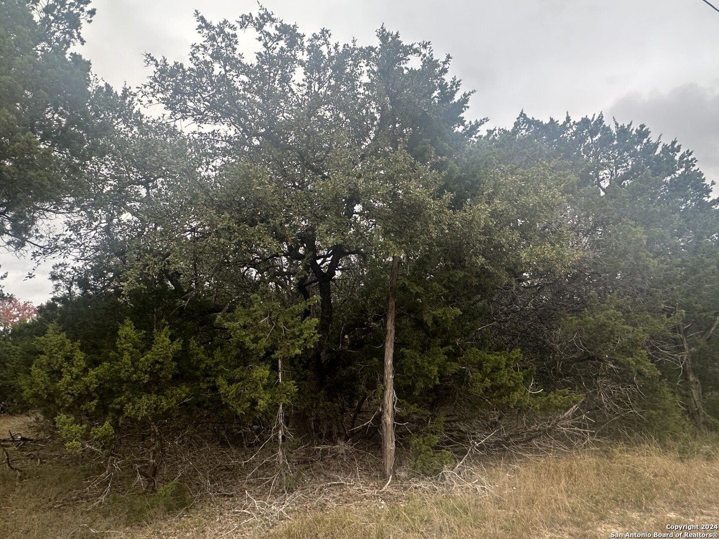 287 Canyon