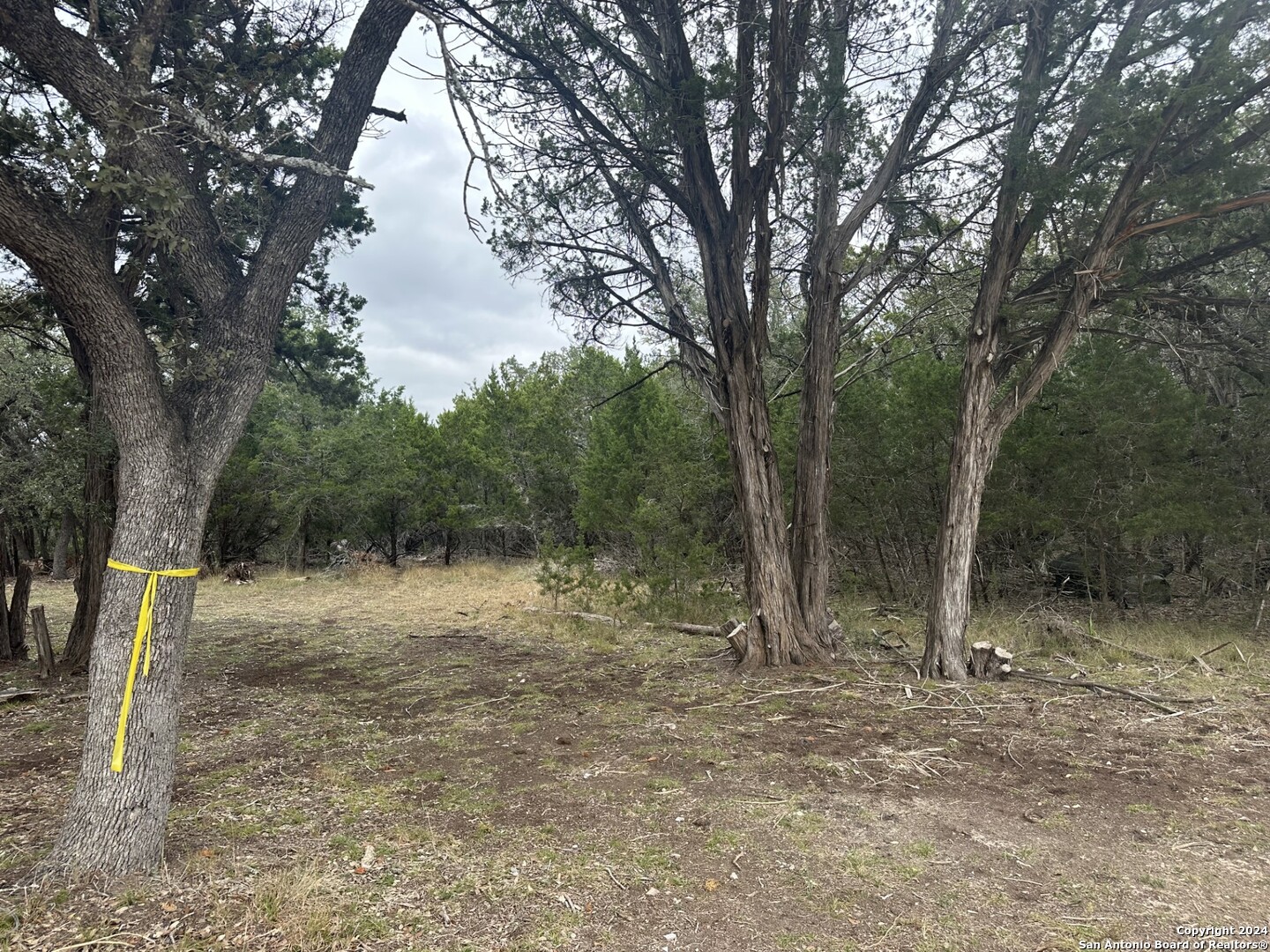 287 Canyon
