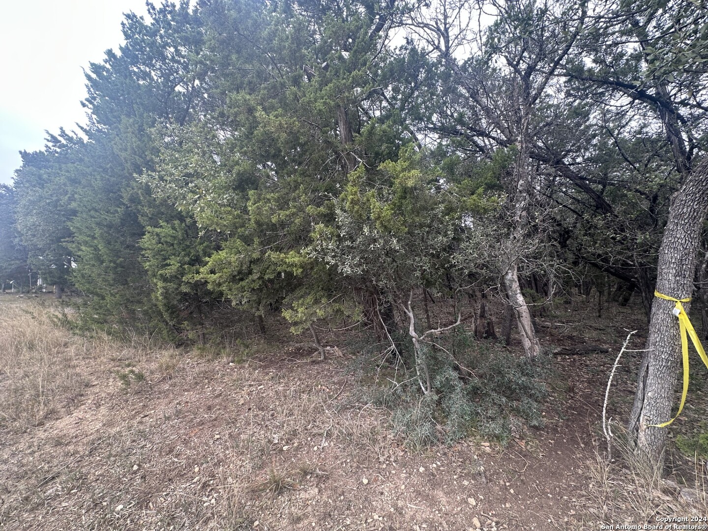 287 Canyon