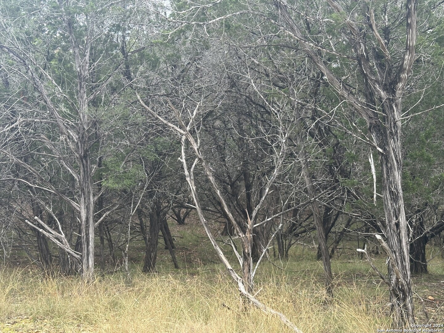 LOTS 1-3 Indian Trail