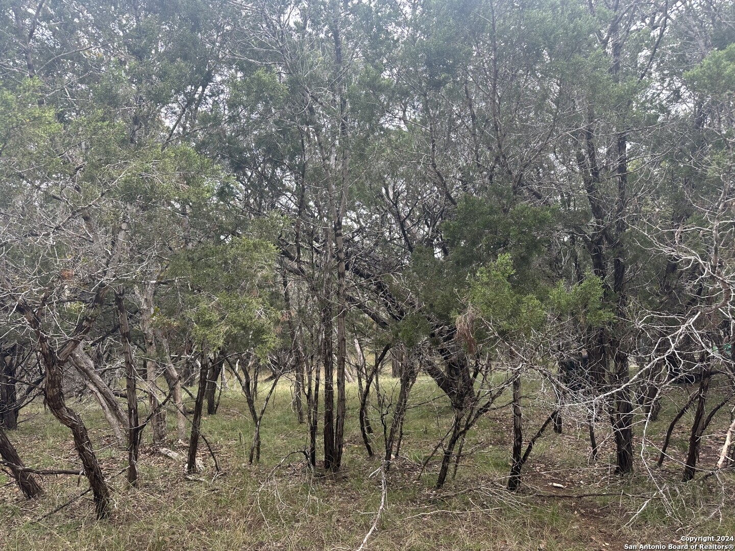 LOTS 1-3 Indian Trail