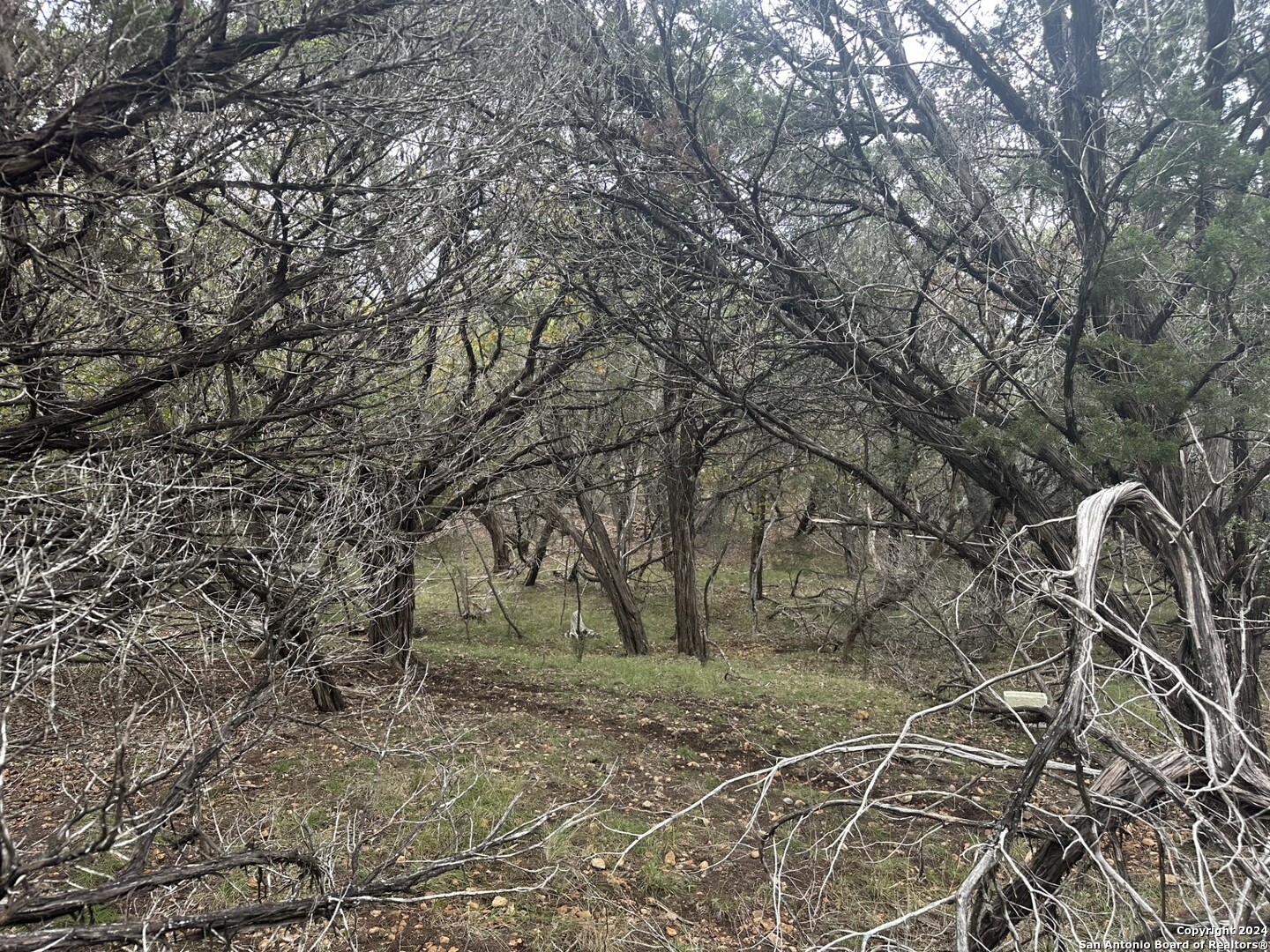 LOTS 1-3 Indian Trail