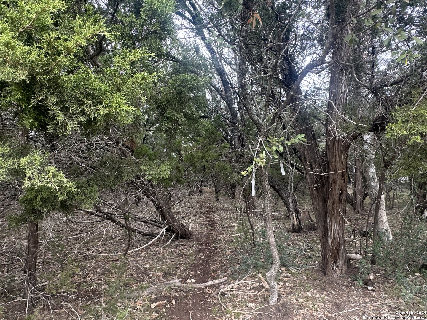 LOTS 1-3 Indian Trail