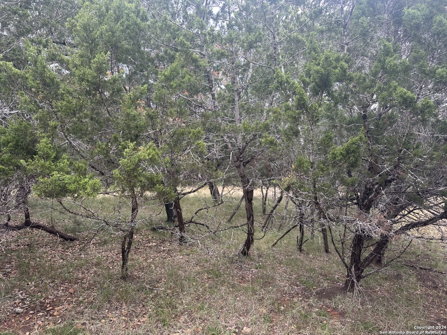 LOTS 1-3 Indian Trail