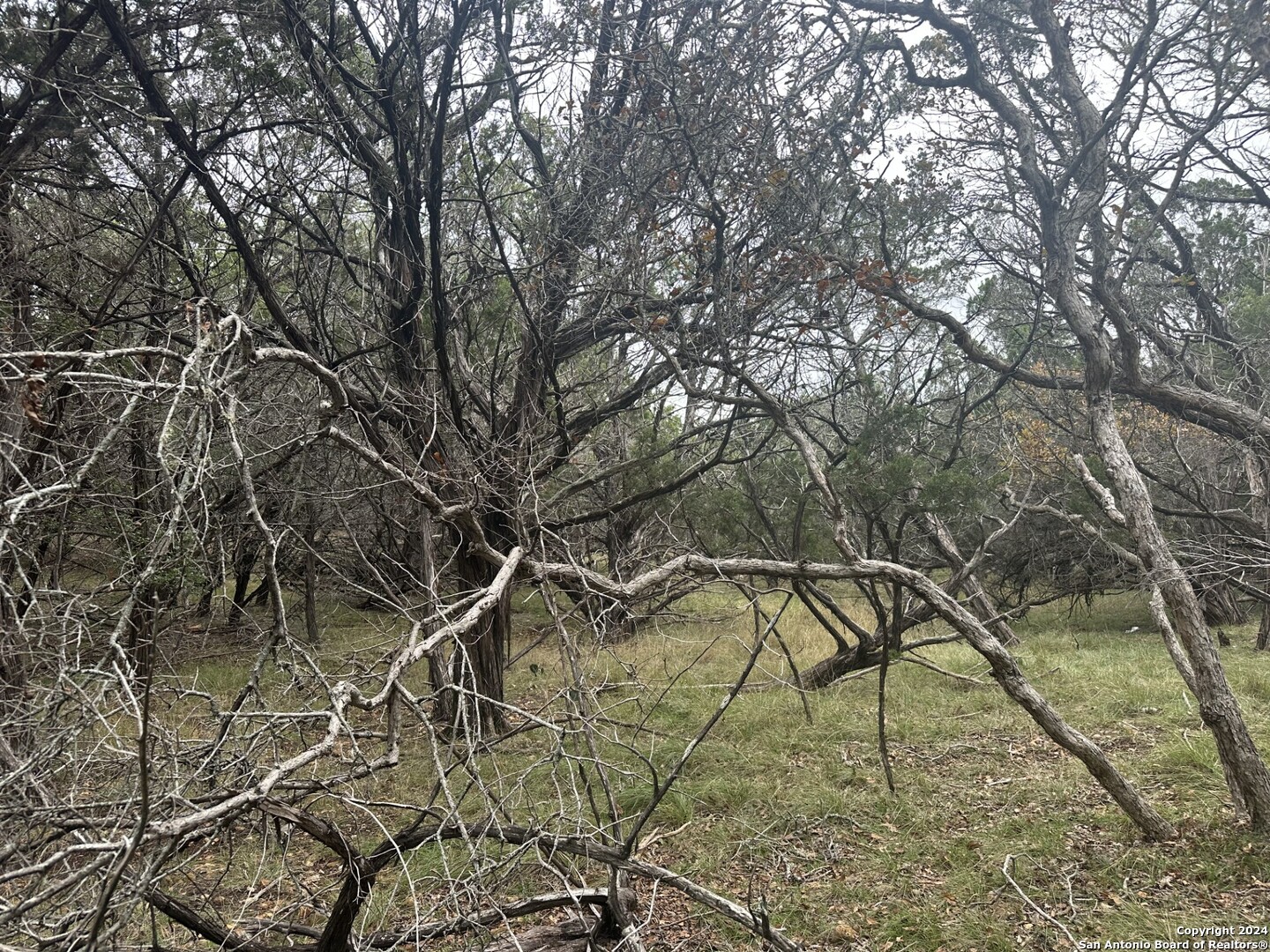 LOTS 1-3 Indian Trail