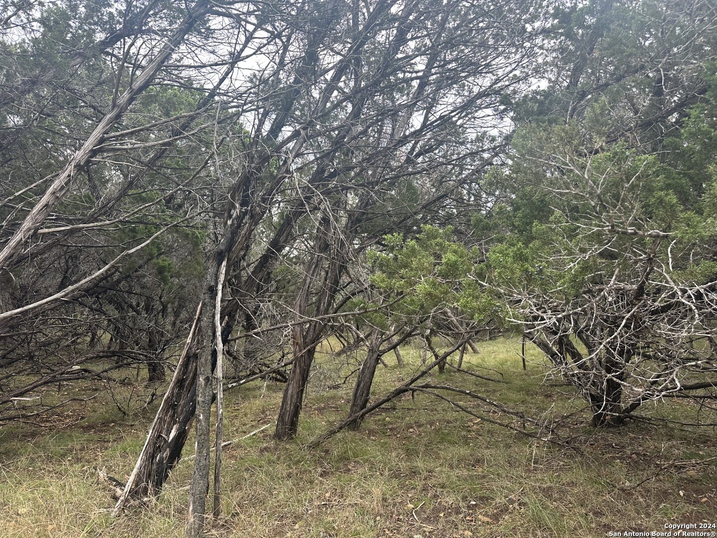 LOTS 1-3 Indian Trail